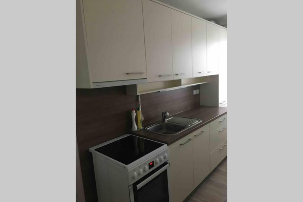 Family Apartment With Garden And Parking Spot Ceske Budejovice Exteriér fotografie
