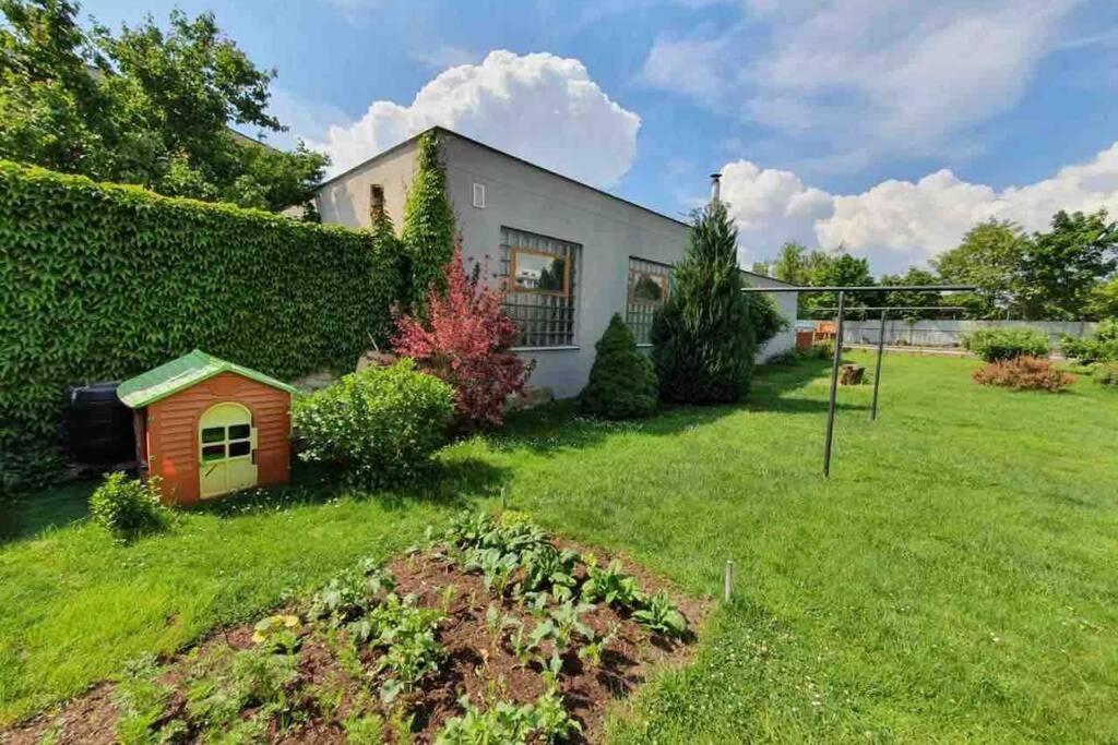 Family Apartment With Garden And Parking Spot Ceske Budejovice Exteriér fotografie